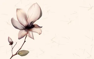 炫彩花纹 第七辑_14