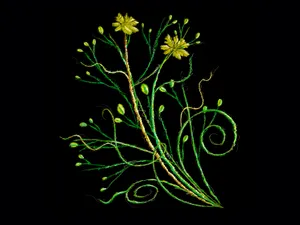 炫彩花纹 第二辑_16