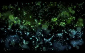 宽屏炫彩 第一辑_6