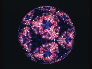 万花筒 第一辑_3