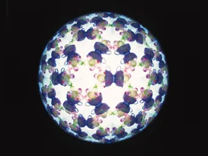 万花筒 第一辑_4