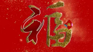 喜庆的福字图片_11
