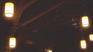 灯笼图片_6