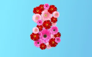 三八妇女节数字8图片_11