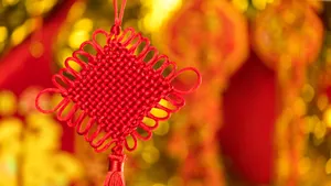 喜庆的红色新年装饰挂件图片_7