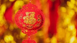 喜庆的红色新年装饰挂件图片_10