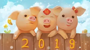 2019年猪年新年图片壁纸_1