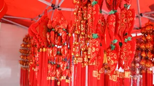 新年春节喜庆灯笼图片_6