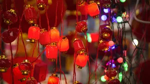 新年春节喜庆灯笼图片_8