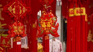 新年春节喜庆灯笼图片_10
