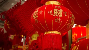 新年春节喜庆灯笼图片_11