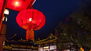 民俗文化灯会图片_11
