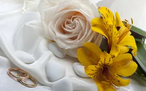 结婚婚戒图片_12