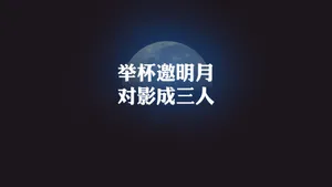 光棍节简约名言格言壁纸_25