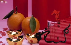 2013蛇年春节节日图片壁纸_9