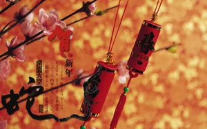 2013蛇年春节节日图片壁纸_11