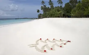 浪漫的圣诞节日桌面壁纸_14