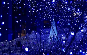 平安夜圣诞树光芒美景壁纸_7