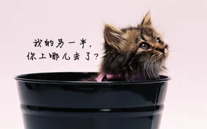 双11光棍节桌面壁纸_6