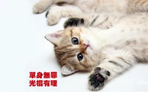 双11光棍节桌面壁纸_9