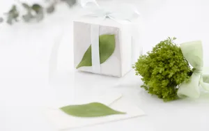 礼物装饰 第八辑第1张