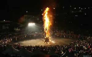 全球庆祝2012新年壁纸_11