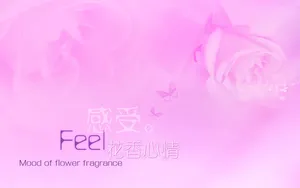 爱的主题桌面壁纸_4