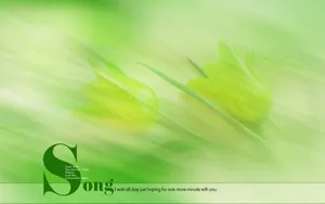 爱的主题桌面壁纸_9