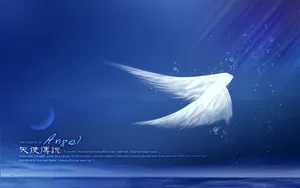 爱的主题桌面壁纸_16