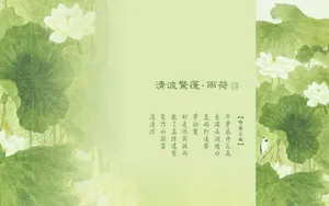 爱的主题 第六辑