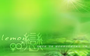 爱的主题 第六辑_15