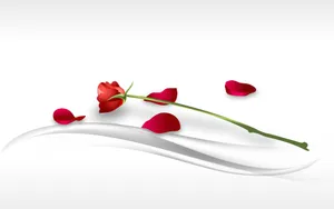 情人节 第四辑_8