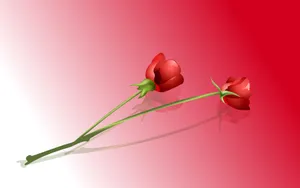 情人节 第四辑_9