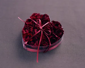 爱的鲜花 第一辑_5