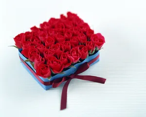 爱的鲜花 第一辑_6