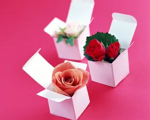 爱的鲜花 第一辑_8