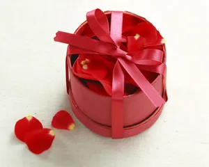 爱的鲜花 第一辑_12