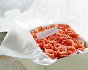 爱的鲜花 第一辑_17