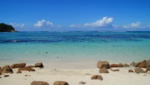 景色宜人的大海海边图片_2