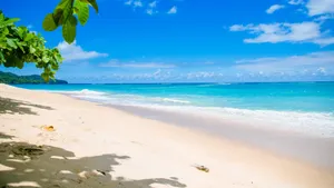 景色宜人的大海海边图片_3