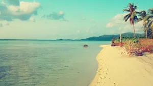 景色宜人的大海海边图片_5