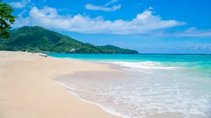 景色宜人的大海海边图片_7