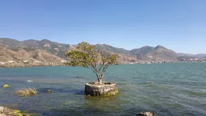 大理洱海风景图片_7