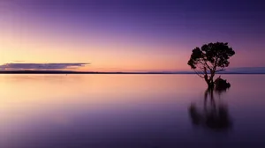 静谧的夕阳落日图片_8