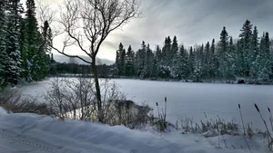魁北克冬季雪景图片_2