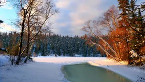 魁北克冬季雪景图片_11
