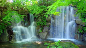 幽静的山涧溪流瀑布图片_4