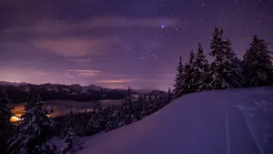 美丽的夜空星空图片_5