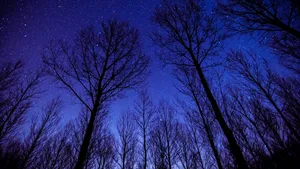 美丽的夜空星空图片_8