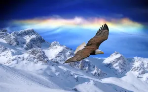 梦幻风景3D渲染壁纸_12